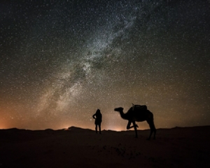 1 Night Stargazing at Andromeda Desert Sky Camp